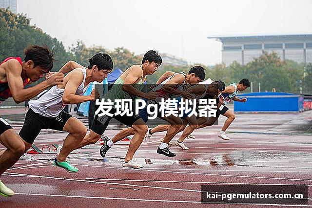 发现Pg模拟器